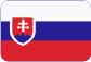 Nastri adesivi bilaterali Slovensky